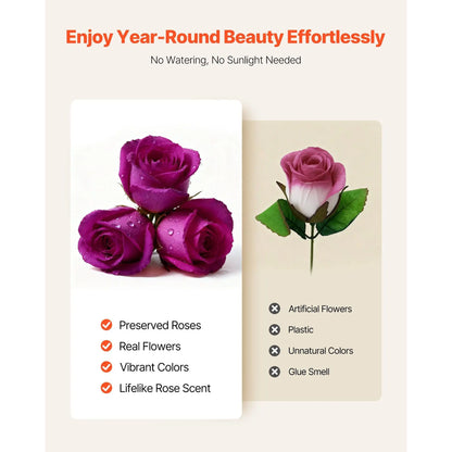Advertisement for preserved roses with text highlighting features like no watering or sunlight needed.